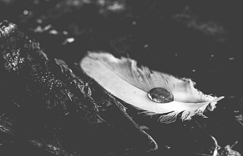 ГАЙД: ПУХ ИЛИ СИНТЕТИЧЕСКИЙ УТЕПЛИТЕЛЬ