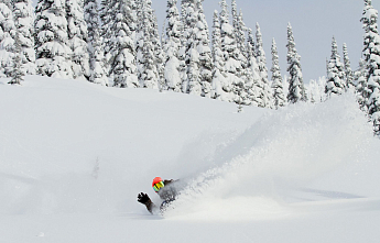 ELECTRIC: ОПТИКА ПРЕМИУМ-КЛАССА