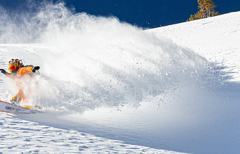 SIMS 2024: новинки