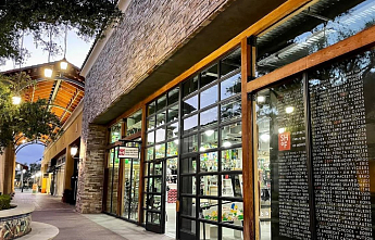 СКЕЙТБОРДИНГ: ЗАЛ СЛАВЫ