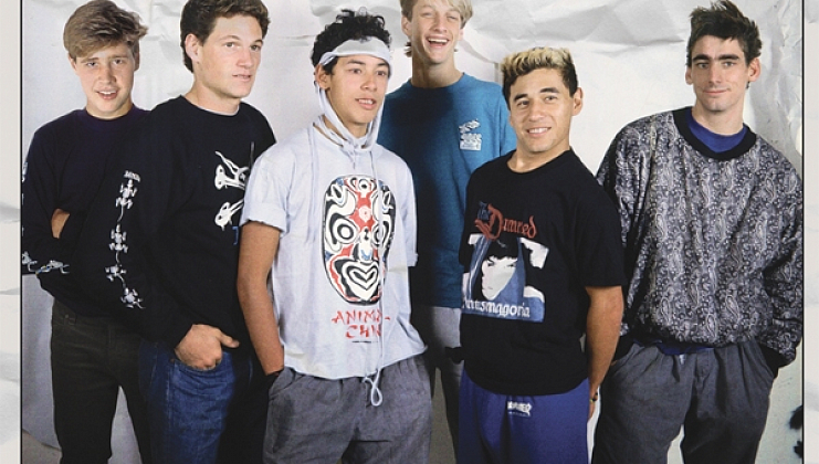 Основы основ. Powell Peralta.