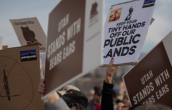 Сохранение принципов. Новый генеральный директор Patagonia.