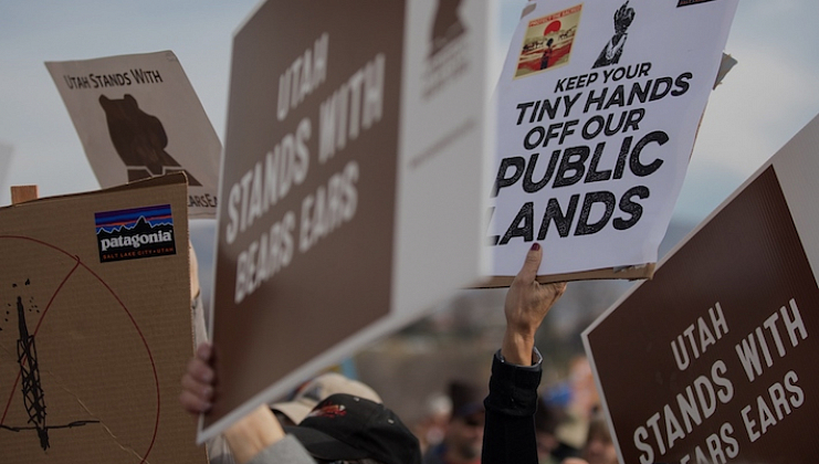 Сохранение принципов. Новый генеральный директор Patagonia.