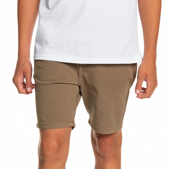 Шорты Quiksilver