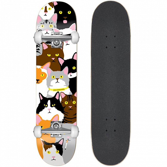 Комплект скейтборд Enjoi