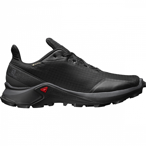 Кроссовки Salomon Alphacross GTX FW20 