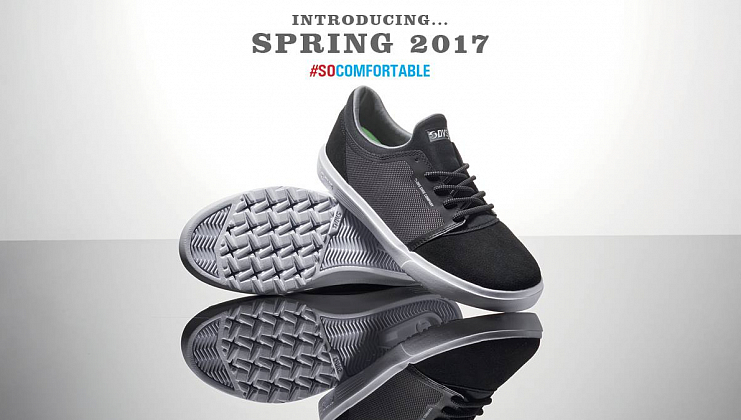 Обзор новинок DVS