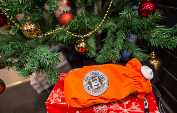 Что подарить тому, кто катается: варианты до 5000 рублей