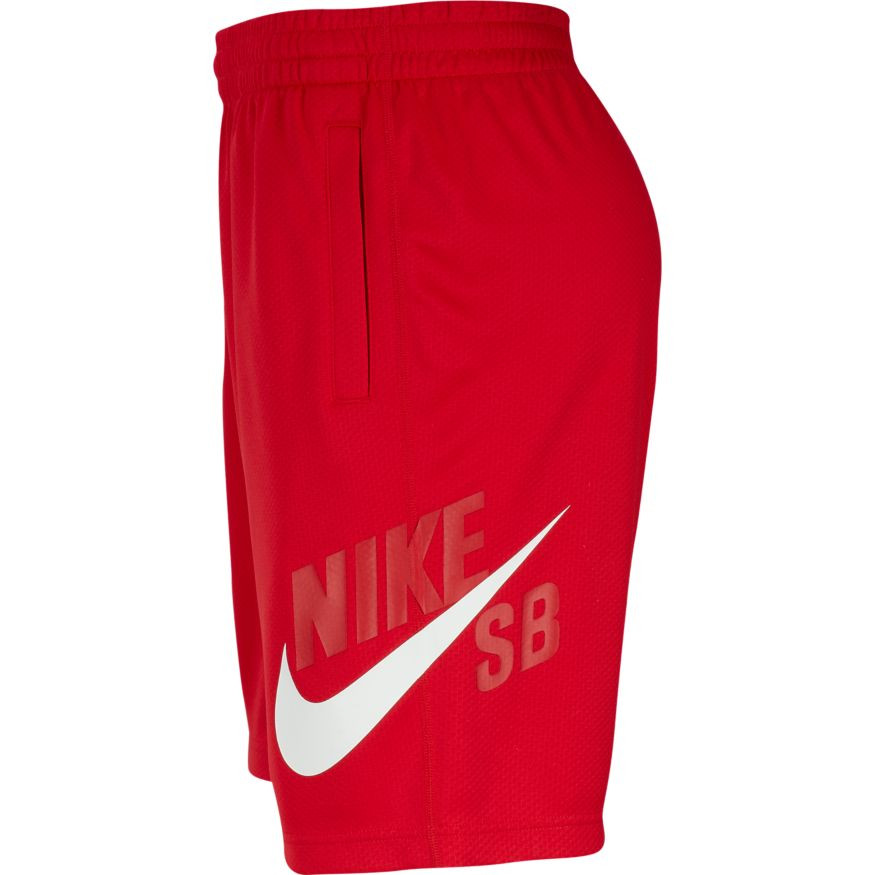 nike sb sunday short
