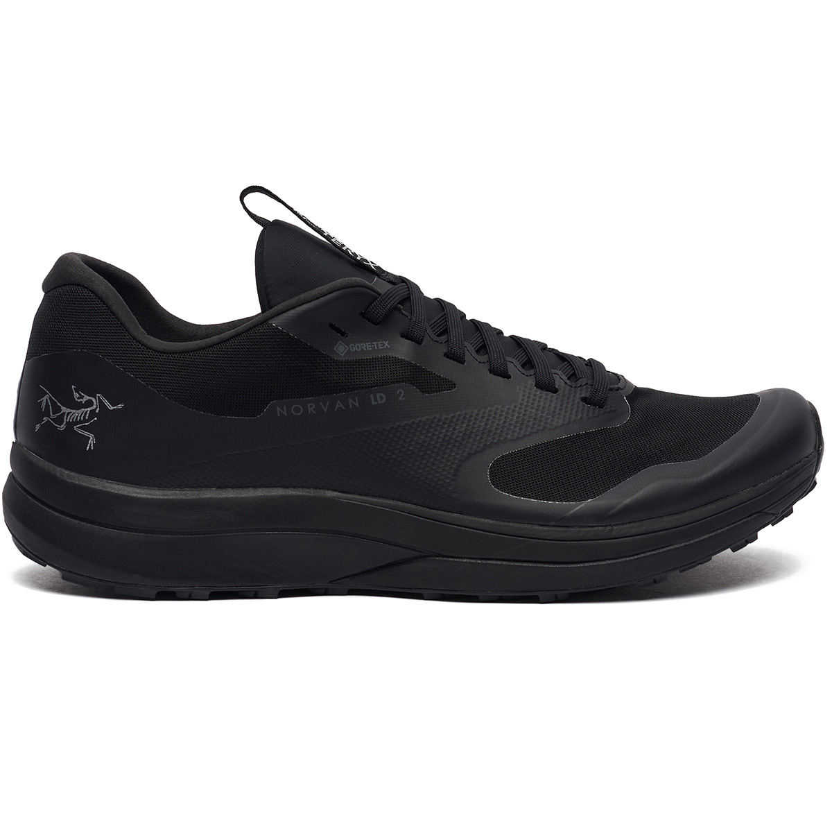 Кроссовки Arcteryx Norvan LD 2 GTX M 