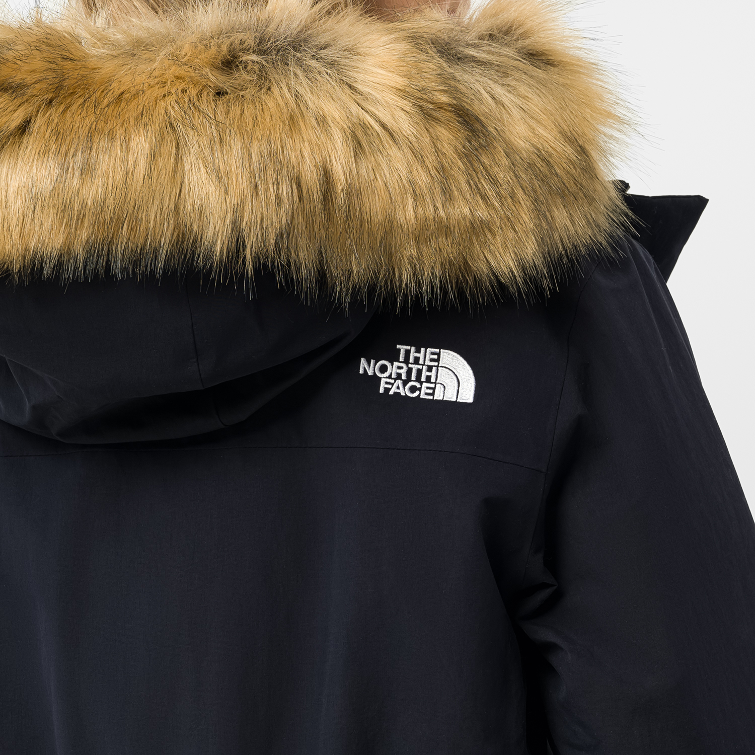 parka homme the north face