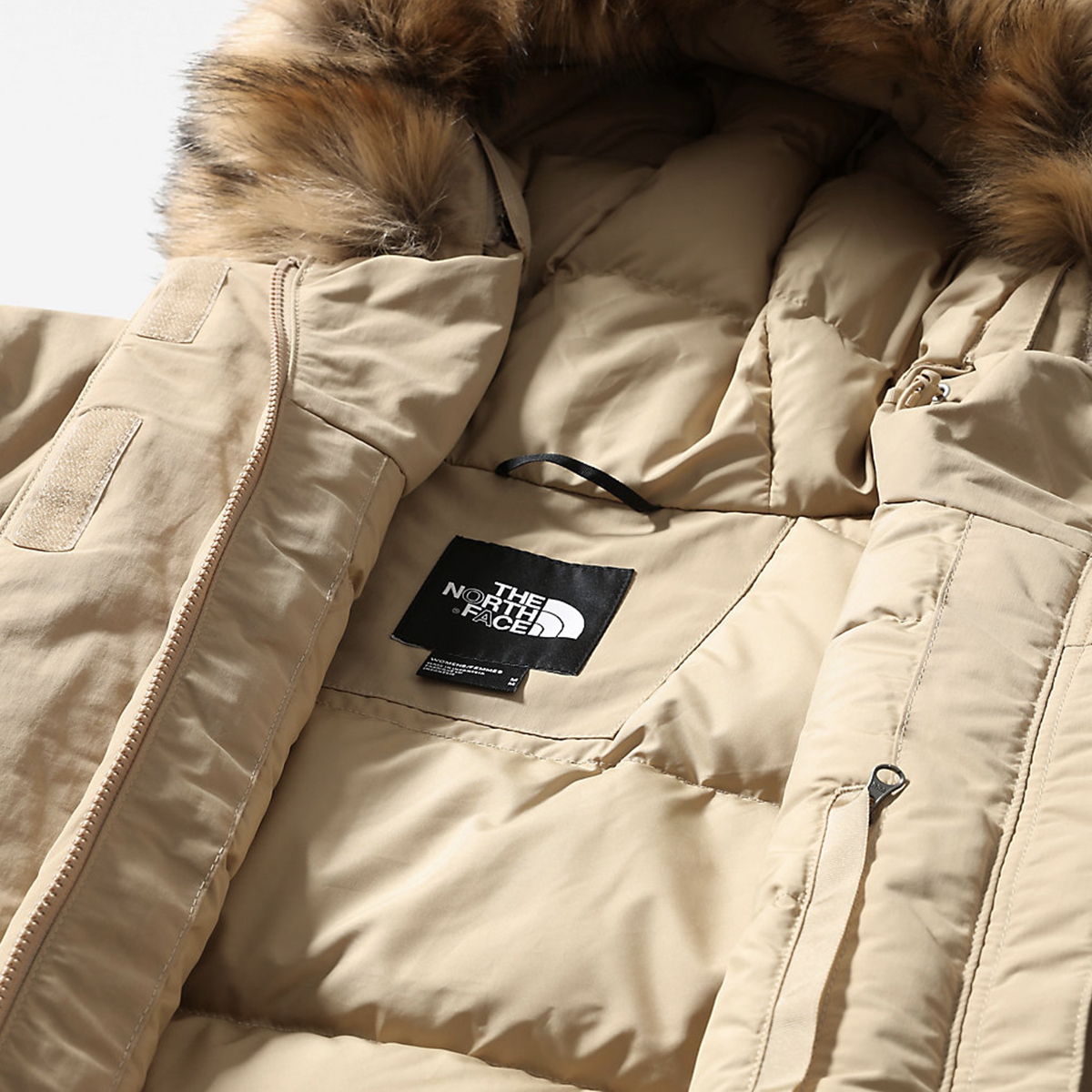 the north face arctic